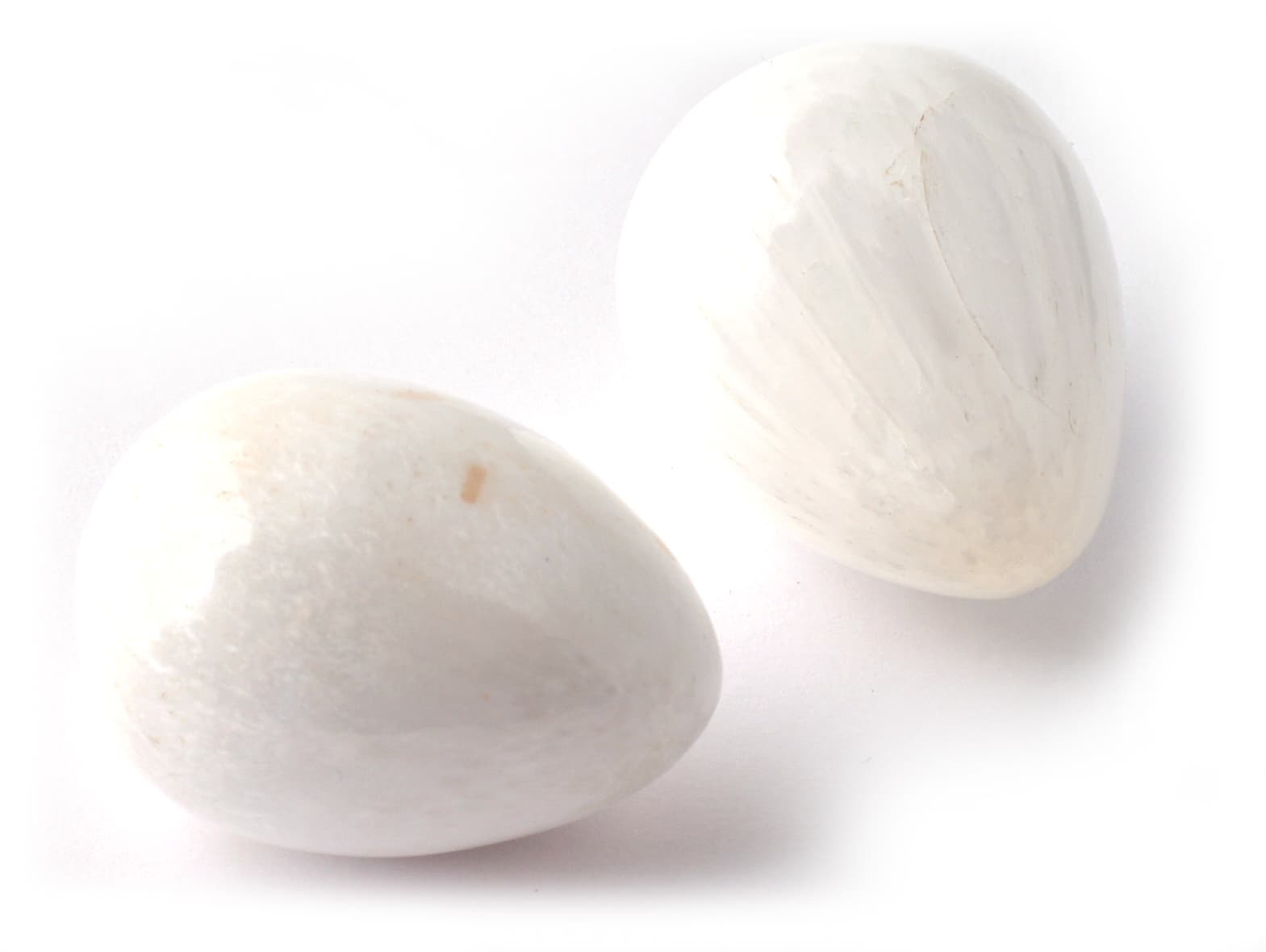 Szkolecit
