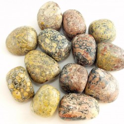 Leopárd jáspis marokkő