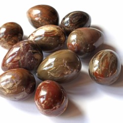 Szorongásoldó, légúti panaszokon segítő, kreativitásfokozó faopál ásvány tojás	 	Szorongásoldó, légúti panaszokon segítő, kreativitásfokozó faopál ásvány tojás