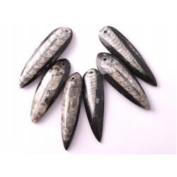 Ortocerász lándzsahegy medál