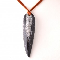 Ortocerász lándzsahegy medál