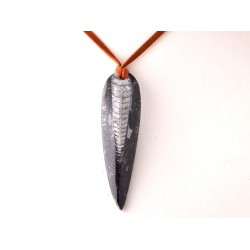 Ortocerász lándzsahegy medál