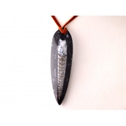 Ortocerász lándzsahegy medál nagyobb