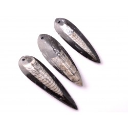 Ortocerász lándzsahegy medál nagyobb