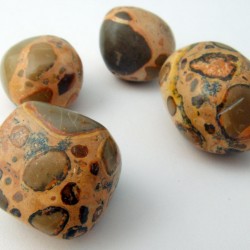 Leopárd jáspis marokkő Leopárd jáspis marokkő